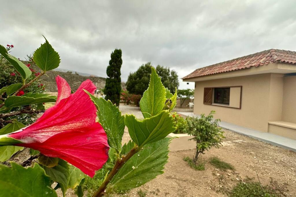 Peaceful Oasis With Magical Sea Views And A Pool Villa Santa Cruz de Tenerife Exterior foto