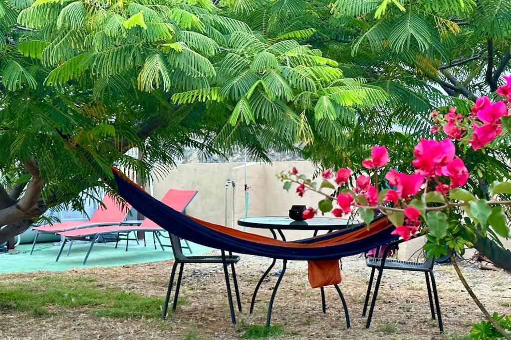 Peaceful Oasis With Magical Sea Views And A Pool Villa Santa Cruz de Tenerife Exterior foto