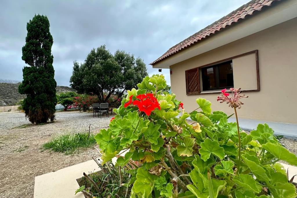Peaceful Oasis With Magical Sea Views And A Pool Villa Santa Cruz de Tenerife Exterior foto